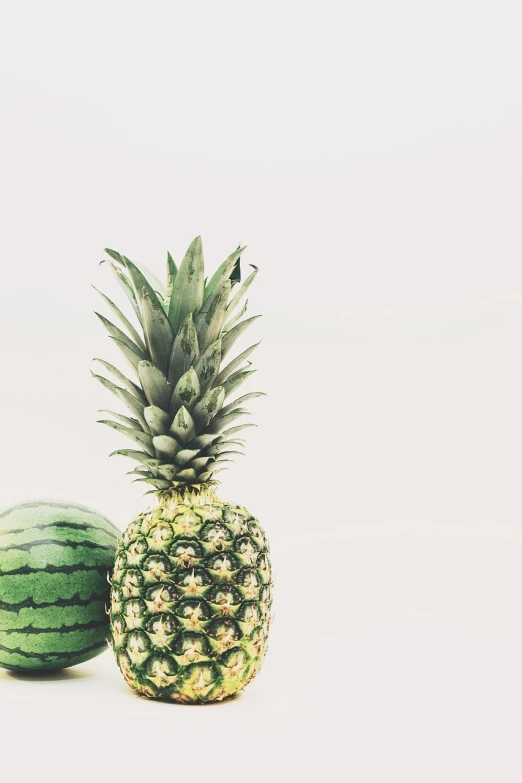 a pineapple and a watermelon on a white surface, a photo, minimalism, vintage color photo, looking to the side off camera, landscape photo, low angle photo