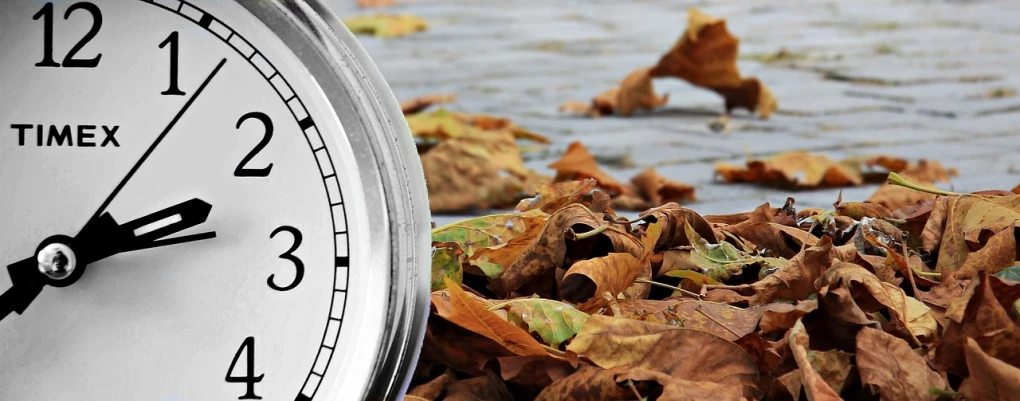 a clock sitting on top of a pile of leaves, a photo, trending on pixabay, fine art, water on lens, website banner, pov photo, silver