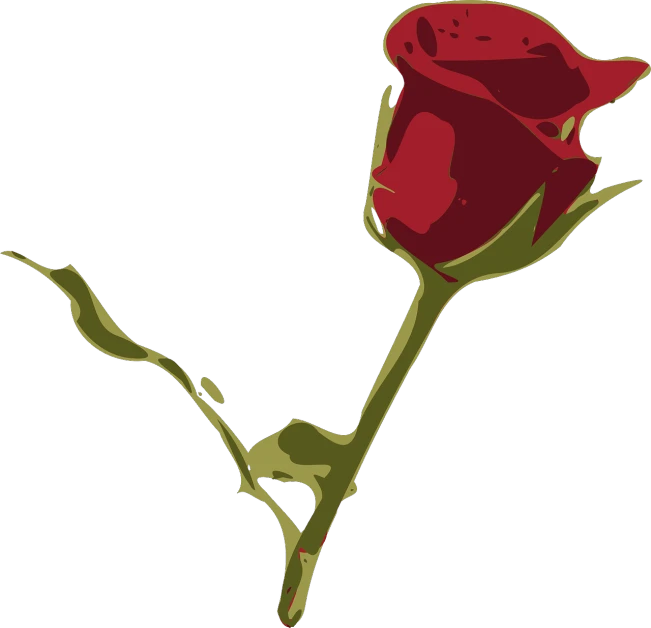 a red rose sitting on top of a stem, inspired by Masamitsu Ōta, romanticism, vectorized, seen from the side, unwind!, tear