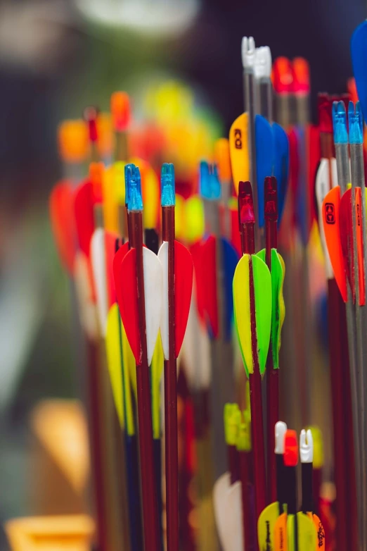 a close up of many different colored arrows, by Richard Carline, shot in canon 50mm f/1.2, hunting, cute photo, 35 mm product photo”