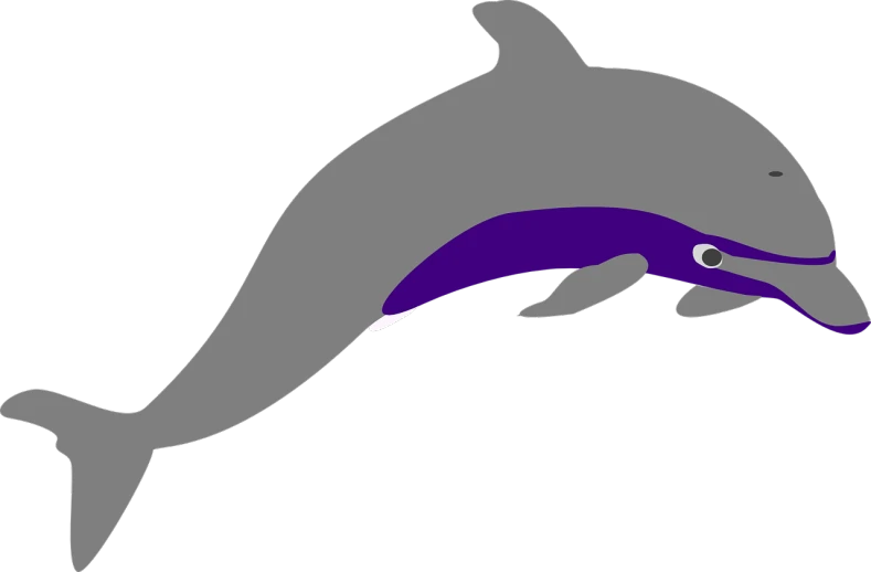 a dolphin that is jumping in the air, inspired by Masamitsu Ōta, deviantart contest winner, hurufiyya, purple. smooth shank, gray anthropomorphic, (high contrast), platypus