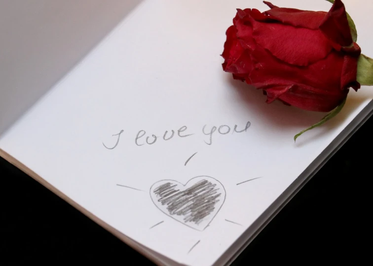 a red rose sitting on top of a piece of paper, a picture, by Lorraine Fox, i love you, notebook, 4k high res, engraved