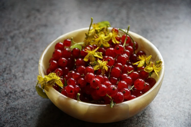 a bowl filled with cherries and yellow flowers, wearing gilded ribes, crisp photo, vibrant but dreary red, high quality product image”