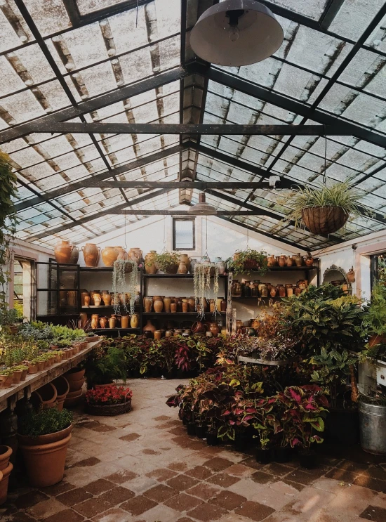 a greenhouse filled with lots of potted plants, by Sydney Carline, maximalism, muted fall colors, photo for a store, cozy vibe, bromeliads