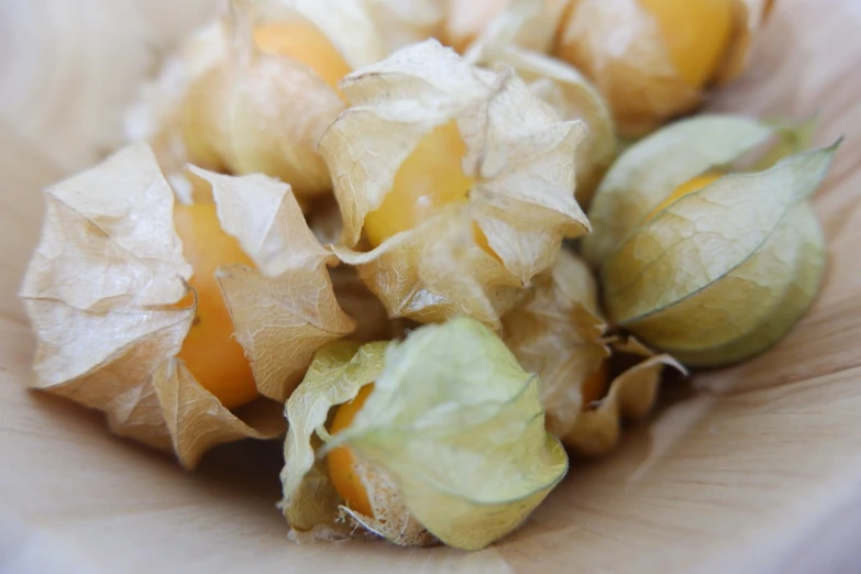 a bowl that has some kind of fruit in it, a macro photograph, process art, yellow lanterns, paper grain, closeup photo, salvia