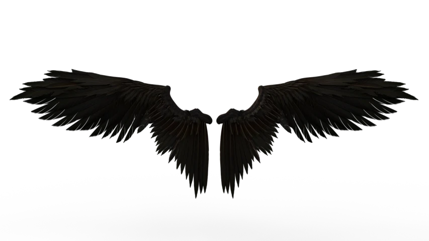 a close up of a wing on a black background, a 3D render, by Andrei Kolkoutine, fallen angels, symmetrical front view, 4k high res, each having six wings