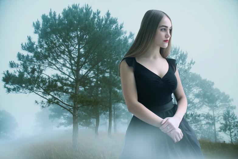 a woman in a black dress standing in a field, a portrait, inspired by Ivan Kramskoi, pixabay contest winner, foggy forrest backdrop, high quality fantasy stock photo, panoramic view of girl, perfect portrait composition