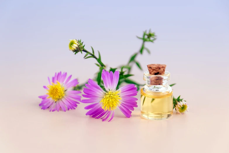 a bottle of essential oil next to some flowers, by Rhea Carmi, minimalism, miniature cosmos, pink yellow flowers, ari aster, beautiful lines