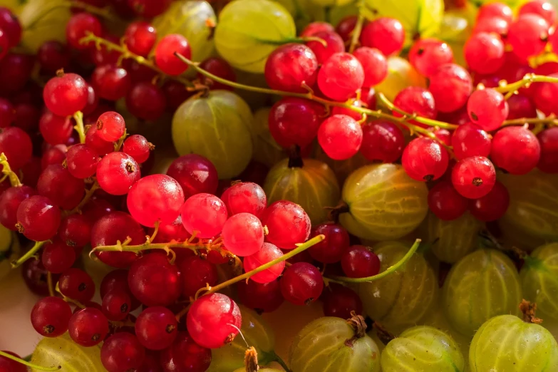 a close up of a bunch of grapes, a stock photo, green and red tones, wild berries, mix, amazing background