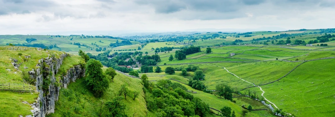 a group of sheep standing on top of a lush green hillside, by John Atherton, shutterstock, large landscape with village, chesterfield, rainy, viewed from above