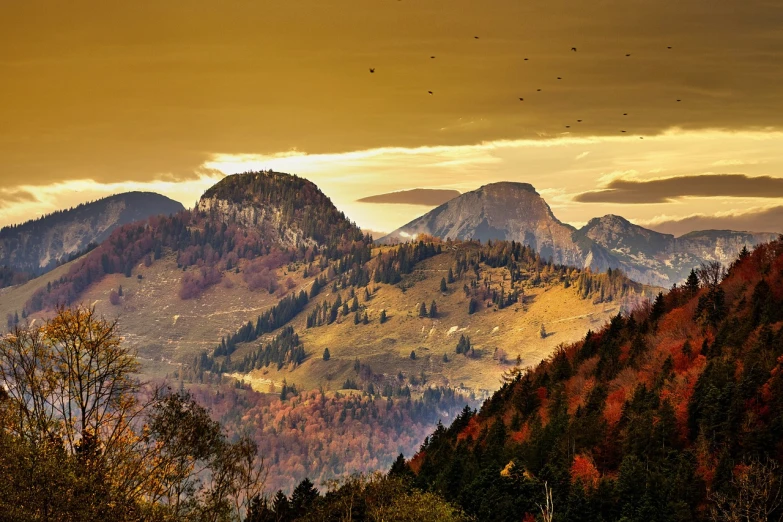 a group of birds flying over a mountain range, a picture, by Karl Stauffer-Bern, flickr, dramatic autumn landscape, golden colors, onyx, golden hour”