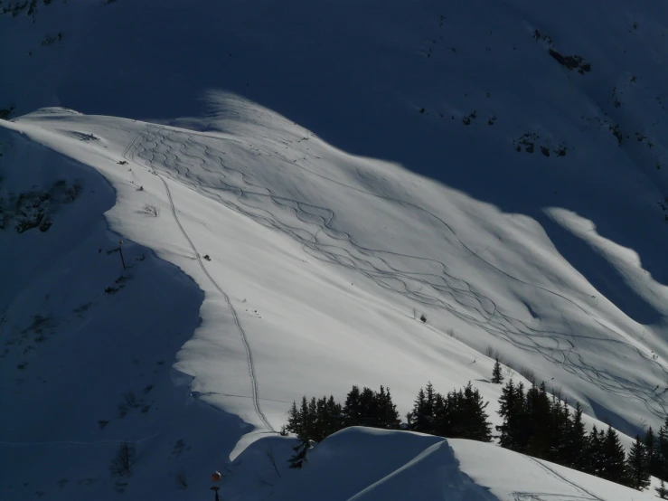 a man riding skis down the side of a snow covered slope, a picture, by Erwin Bowien, flickr, crisp contour - lines, paris 2010, morning light showing injuries, full trees