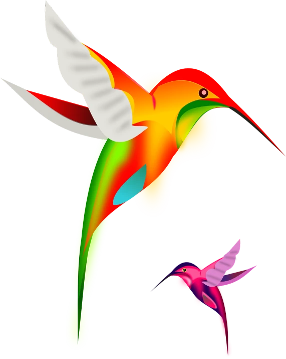 a couple of colorful birds flying next to each other, vector art, hurufiyya, color airbrush, hummingbird, in microsoft paint, volumetric