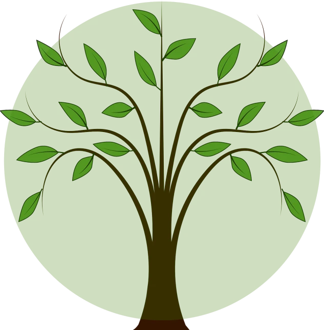 a tree with green leaves in a circle, a digital rendering, on a flat color black background, clipart, with trees, olive green