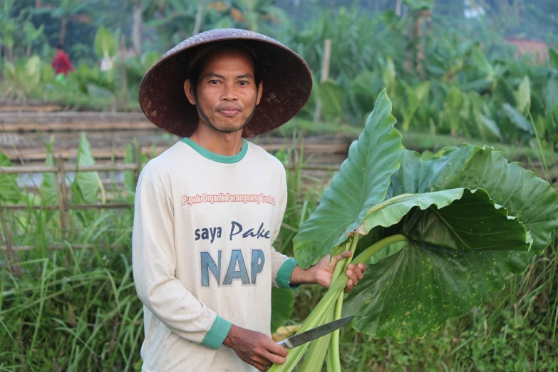 a man in a hat holding a large leaf, a portrait, sumatraism, farming, saying, gipf project, neat baerd