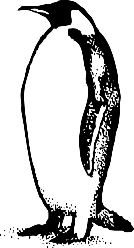 a black and white image of a penguin, a stipple, inspired by João Artur da Silva, hurufiyya, smooth oval head, ethereal eel, phone wallpaper, drawn in microsoft paint