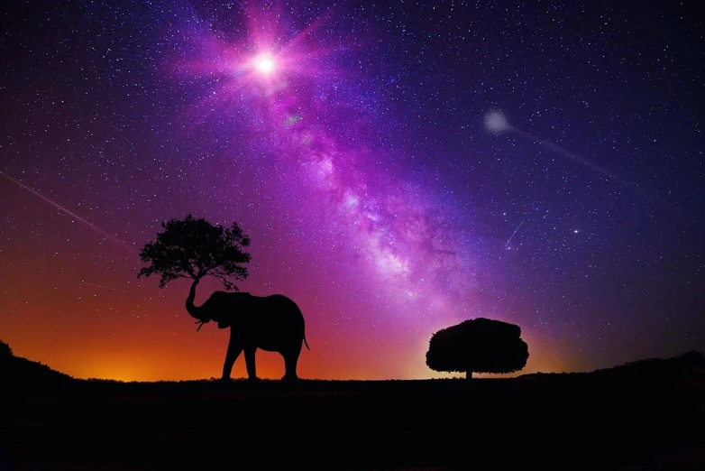 an elephant that is standing in the grass, a picture, magical realism, tree in a galaxy made of stars, purple beautiful sky, saturn in the sky, very beautiful photo