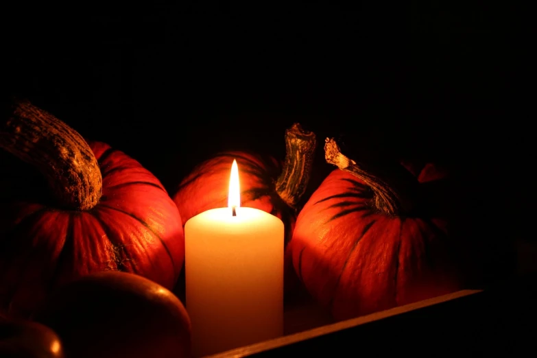 a lit candle surrounded by pumpkins and apples, late night melancholic photo, lightbox, dlsr photo, close-up photo