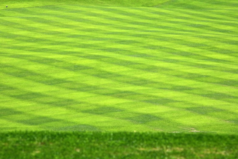 a man standing on top of a lush green field, by Peter Alexander Hay, color field, augusta national, patterns and textures, hazard stripes, modern high sharpness photo