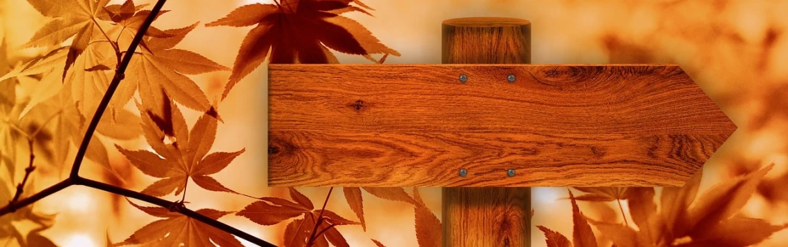a wooden sign sitting on top of a wooden pole, a screenshot, pixabay, sōsaku hanga, autumn leaves background, website banner, high details photo, 3 4 5 3 1