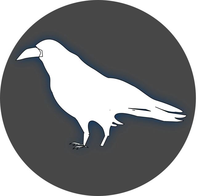 a silhouette of a bird on a black background, an illustration of, inspired by Gonzalo Endara Crow, crown of (((white lasers))), eyeless watcher, outline glow, scientific depiction