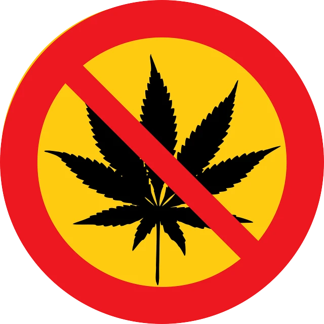 a red and yellow sign with a marijuana leaf in it, a picture, forbidden, designer art, lowres, no epaulettes