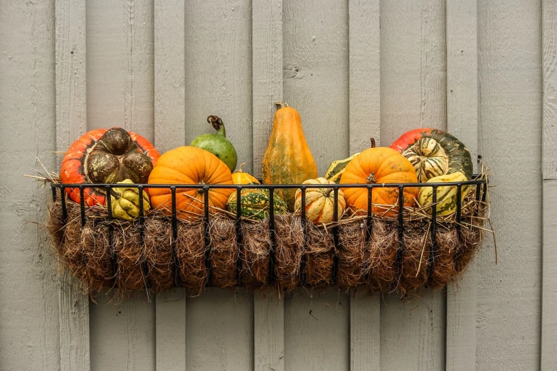 a metal basket filled with pumpkins and gourds, a still life, pexels, folk art, wall, in a row, with ornamental edges, windowsill