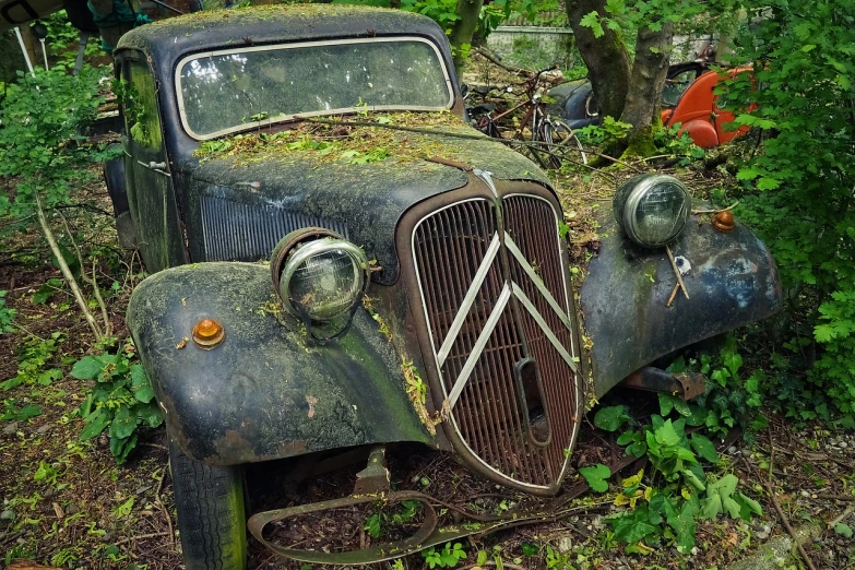 an old car that is sitting in the grass, a photo, by Etienne Delessert, shutterstock, dirty greasy face, discovered in a secret garden, full frame shot, truck