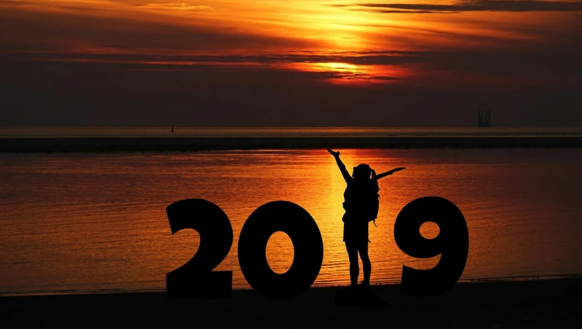 a person standing on a beach with their arms in the air, a picture, pixabay, happening, new years eve, silhouette of a girl and her cat, made in 2019, stacked image