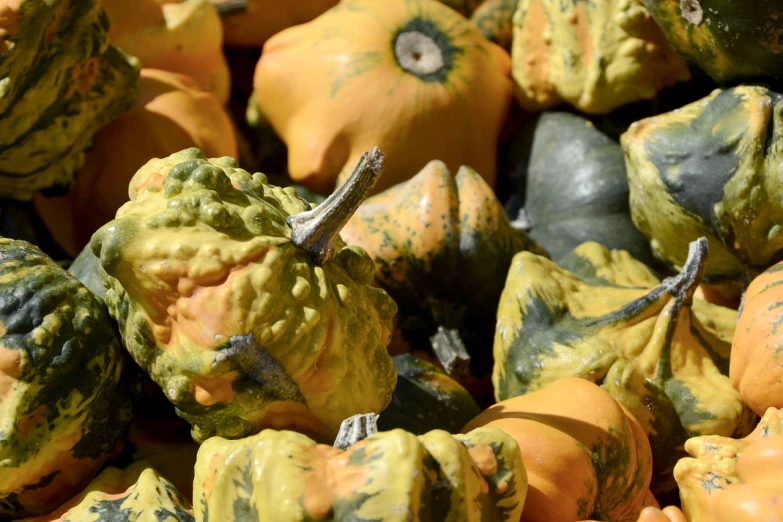 a pile of yellow and green gourds sitting on top of each other, square, albuquerque, 4k high res, pumpkin