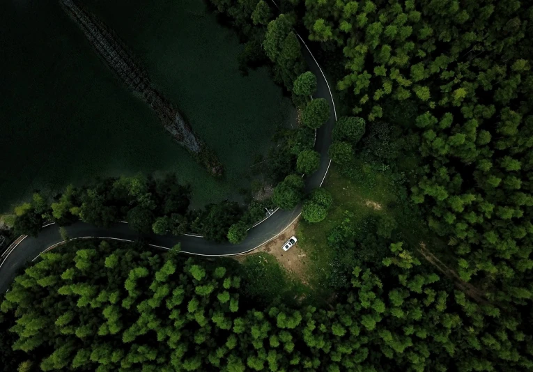 a bird's eye view of a winding road in the middle of a forest, a picture, realism, cinematic. by leng jun, in a park and next to a lake, bird\'s eye view, car shot