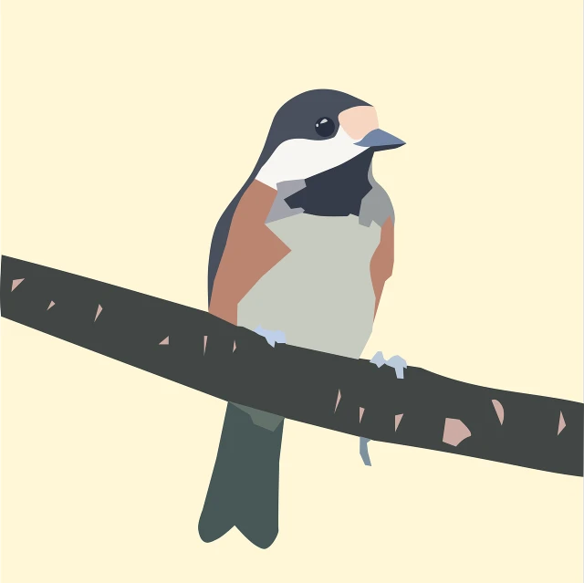 a bird sitting on top of a tree branch, vector art, inspired by Paul Bird, bauhaus, with small nose, muted realistic colors, low polygons illustration, the shrike