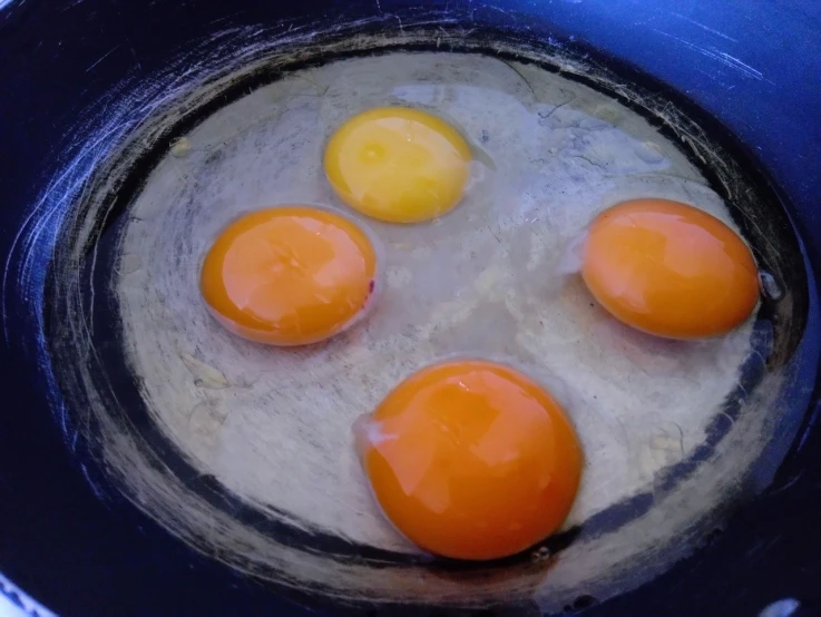 four eggs are fried in a frying pan, by Jan Rustem, precisionism, orange halo, discovered photo, listing image, eggshell color