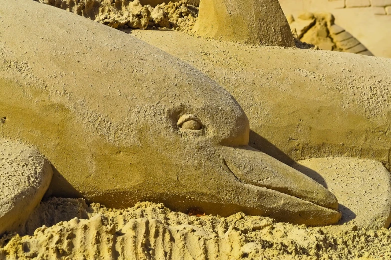 a sand sculpture of a dolphin laying in the sand, by Dietmar Damerau, shutterstock, concrete art, detailed zoom photo, closeup at the faces, agrigento, stock photo