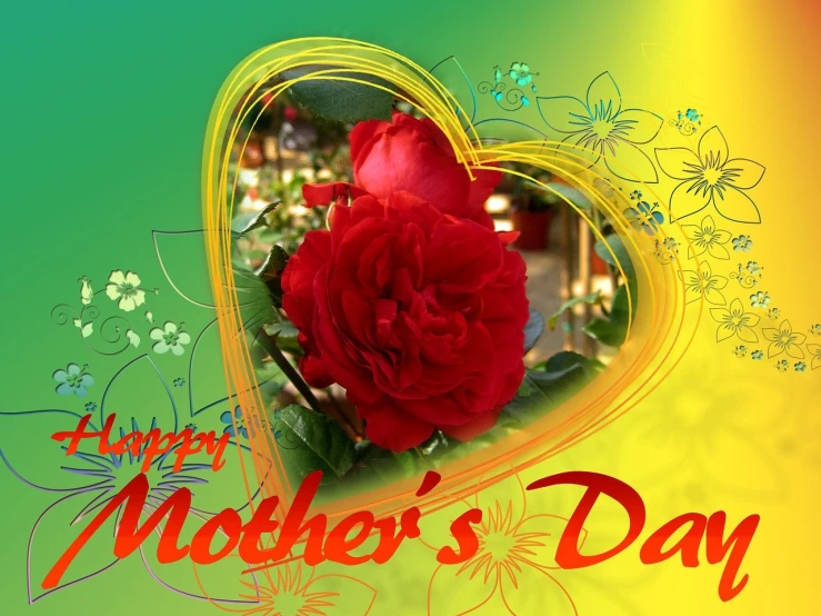 a mother's day card with a red rose, a picture, colorful picture, heart, flowery wallpaper, olympus
