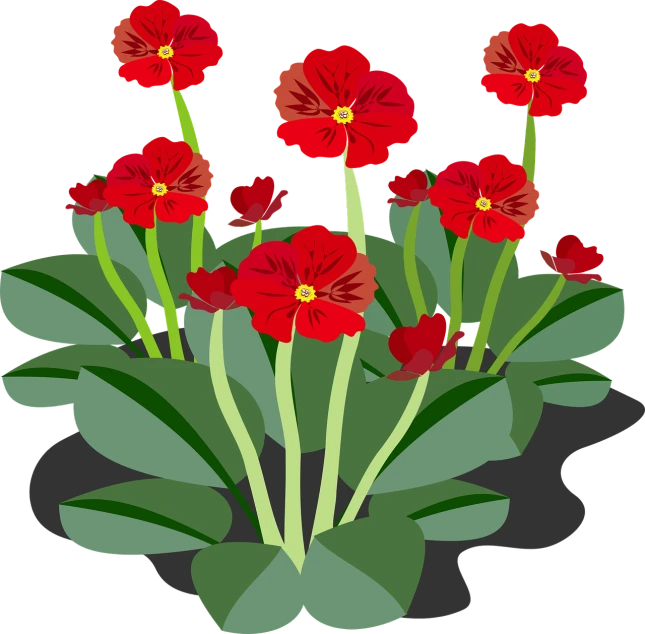 a bunch of red flowers with green leaves, an illustration of, by Aleksander Kotsis, pixabay, gardens with flower beds, a beautiful artwork illustration, on a flat color black background, nineteenth century