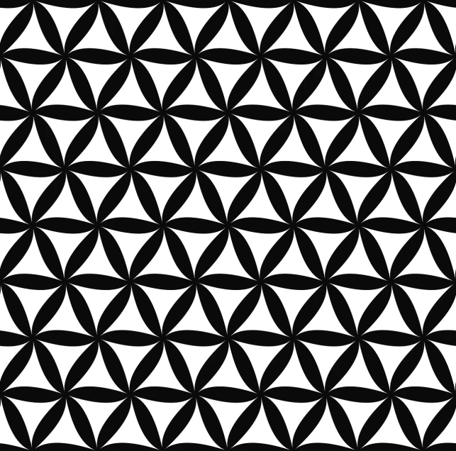 a black and white geometric pattern, inspired by Buckminster Fuller, pixabay, petals, i slept in segments last night, pentacle, flower power