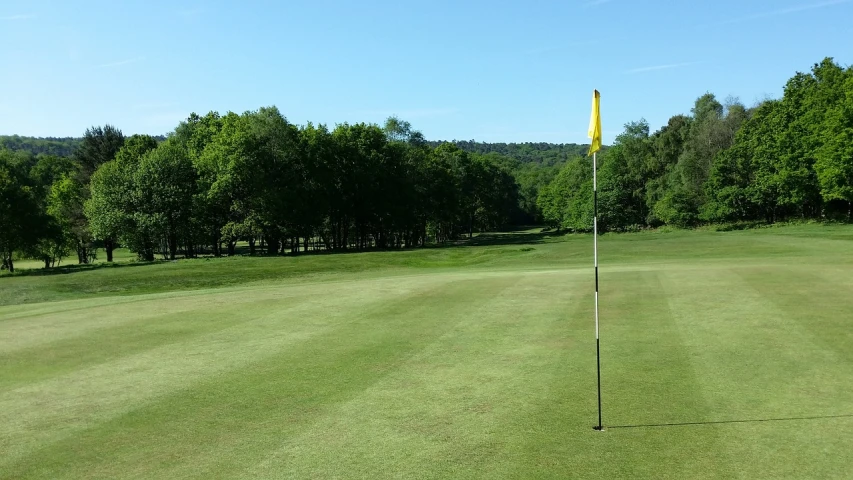 a golf green with a yellow flag sticking out of it, by Edward Corbett, woodland location, achingly beautiful, 1 0 0 m, opposite the lift-shaft