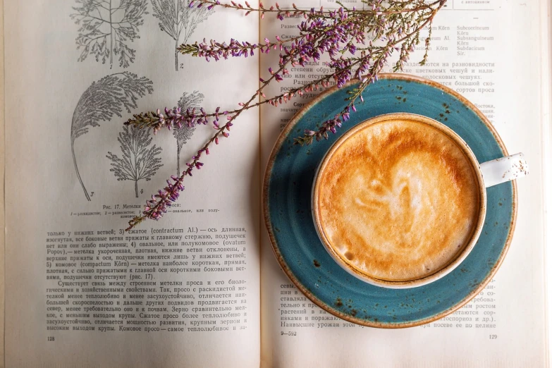 a cup of coffee sitting on top of an open book, by Lucia Peka, trending on pixabay, romanticism, books and flowers, styled food photography, avatar image