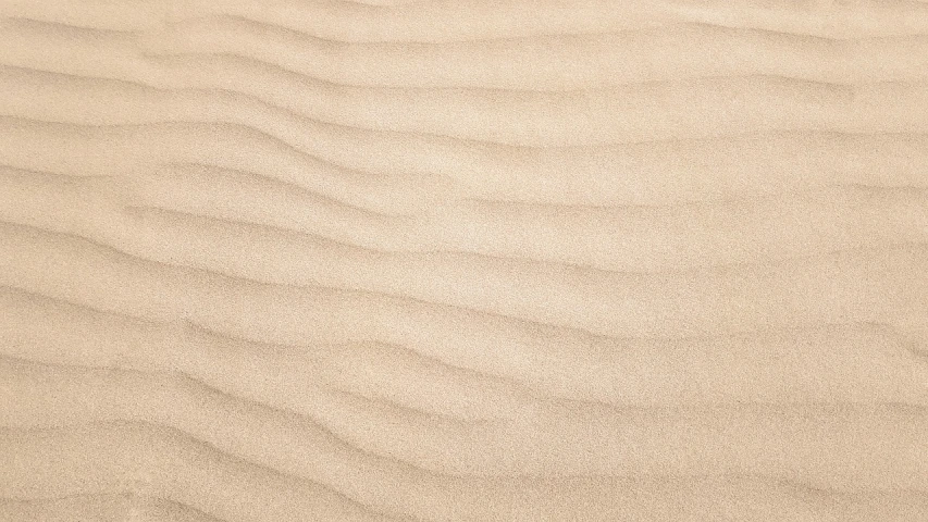 a close up of sand on a beach, by Jan Kupecký, minimalism, light tan, desert photography, soft and detailed, vibrant patterns