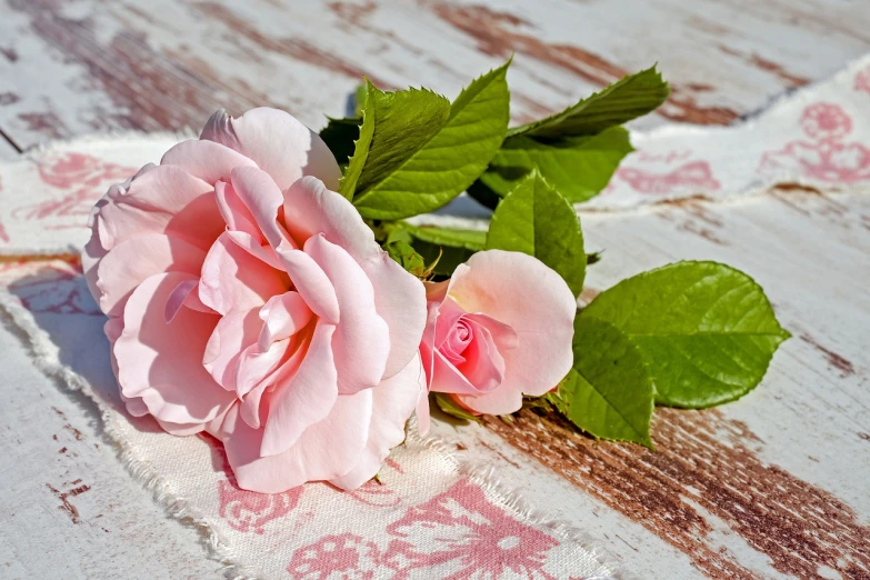 a pink rose sitting on top of a wooden table, a picture, by Rhea Carmi, pixabay, floral wallpaper, made of flowers and leaves, 😃😀😄☺🙃😉😗, sunny morning