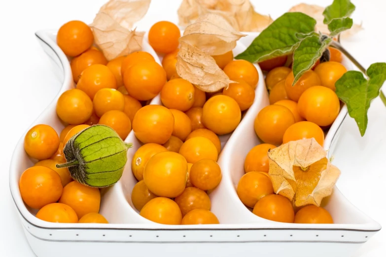 a white bowl filled with oranges and a green berry, a stock photo, bauhaus, closeup photo, yellow lanterns, highly detailed product photo, tomatoes