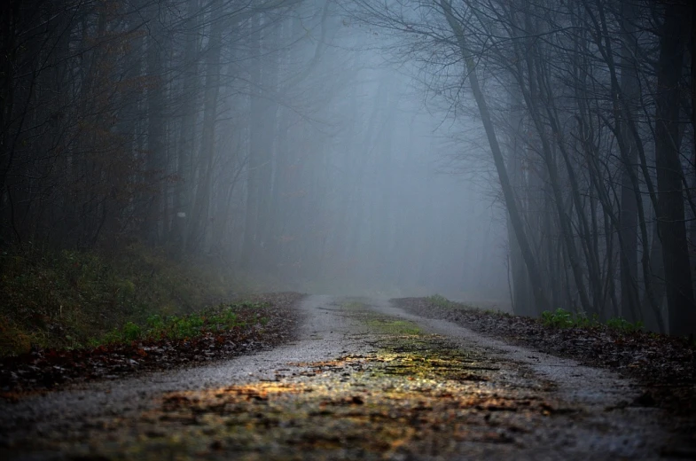 a dirt road in the middle of a foggy forest, romanticism, broken road, early morning lighting, lying on the woods path, interesting shot