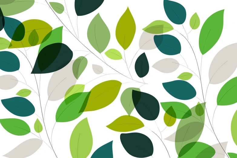 a bunch of green leaves on a white background, an illustration of, inspired by Fernando Gerassi, minimalism, multicolored vector art, translucent, iphone background, full color illustration