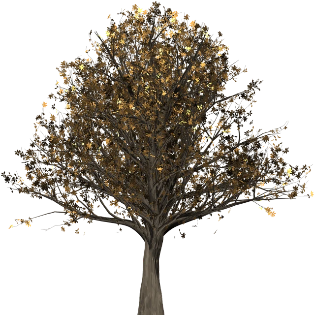 a tree with golden leaves on a black background, a raytraced image, digital art, random volumetric lighting, zoomed out to show entire image, gilt-leaf winnower, 8k octae render photo