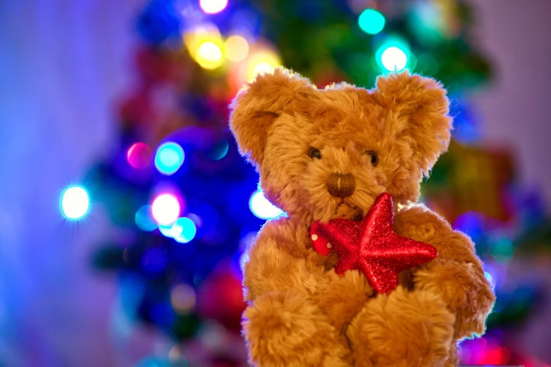 a teddy bear sitting in front of a christmas tree, a portrait, bokeh photo