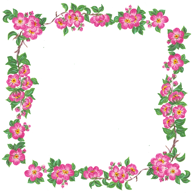 a floral frame with pink flowers and green leaves, a digital rendering, flickr, naive art, black backround. inkscape, miniature cosmos, apple, image dataset
