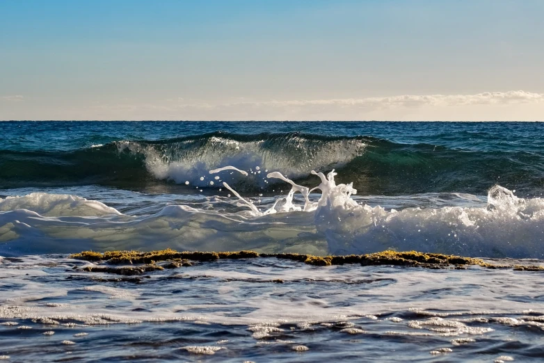 a person riding a surfboard on a wave in the ocean, a picture, by Ivan Grohar, shutterstock, fine art, mediterranean beach background, seaweed and bubles, winter sun, stock photo