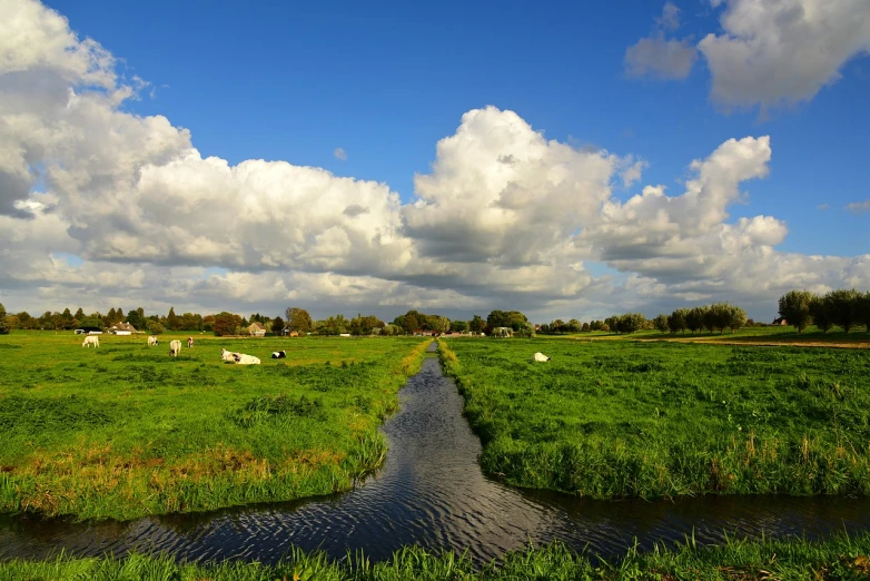 a river running through a lush green field, by Jacob Esselens, flickr, beautiful sky with cumulus couds, goat, delft, alamy stock photo