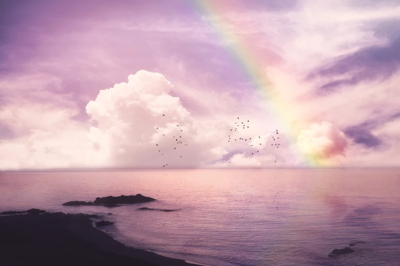 a rainbow in the sky over a body of water, a colorized photo, romanticism, birds in the sky, beach background, light purple mist, background image